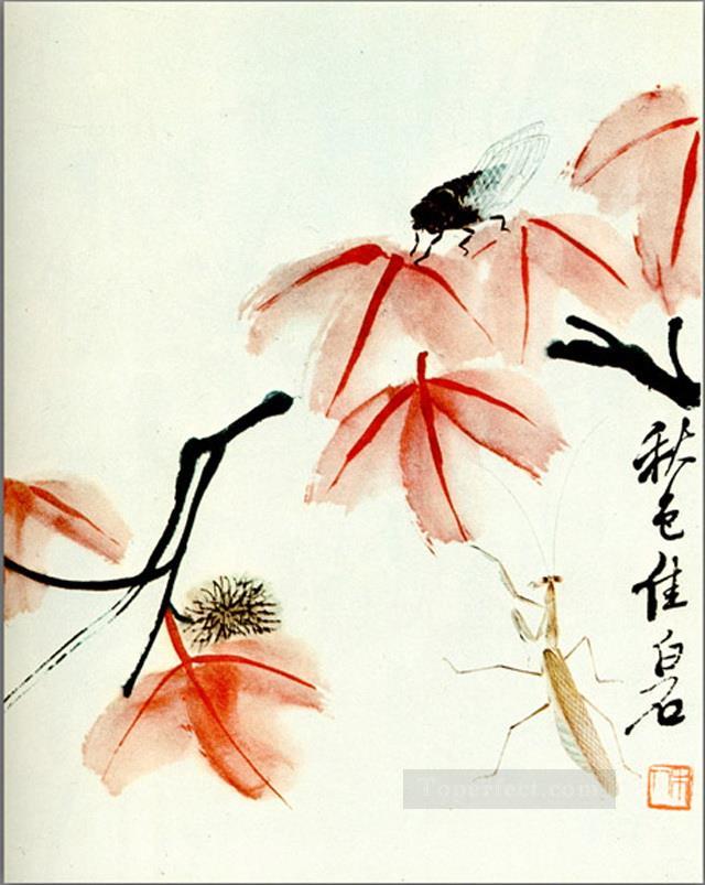 Qi Baishi likvidambra taiwan and the cicada old China ink Oil Paintings
